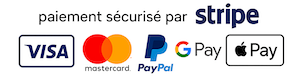 Paiement Sécurisé Stripe Visa Mastercard PayPal
